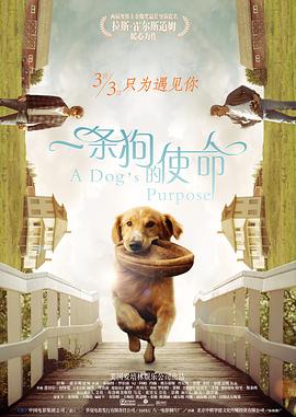 久久综合九色婷婷97