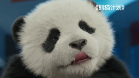 秘书的服务良好2020